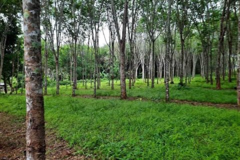 Земельный участок в Пхукете, Таиланд 1600м2  № 137276 - фото 2