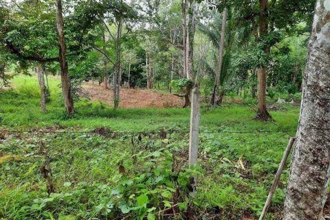 Земельный участок в Пхукете, Таиланд 1600м2  № 137276 - фото 5