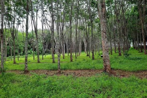 Земельный участок в Пхукете, Таиланд 1600м2  № 137276 - фото 3