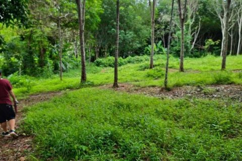 Земельный участок в Пхукете, Таиланд 1600м2  № 137276 - фото 4