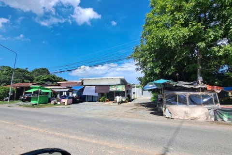 Terrain à Lopburi, Thaïlande 3200 m2 № 154391 - photo 2