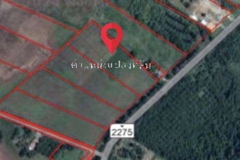 Terrain à Phetchabun, Thaïlande 12800 m2 № 154393 - photo 5