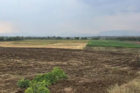 Terrain à Phetchabun, Thaïlande 12800 m2 № 154393 - photo 1