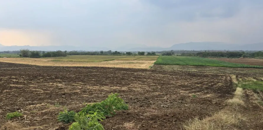 Terrain à Phetchabun, Thaïlande 12800 m2 № 154393
