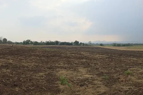 Terrain à Phetchabun, Thaïlande 12800 m2 № 154393 - photo 3