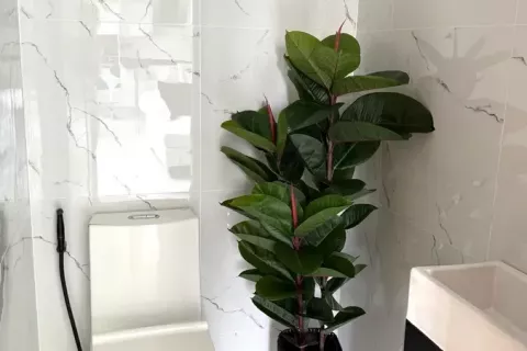 Villa à Phuket, Thaïlande 3 chambres № 146006 - photo 17