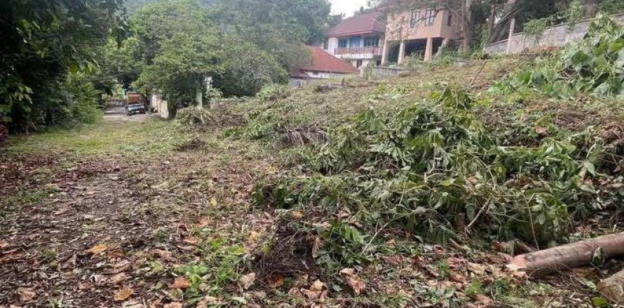 Земельный участок в Самуи, Таиланд 729м2  № 146005