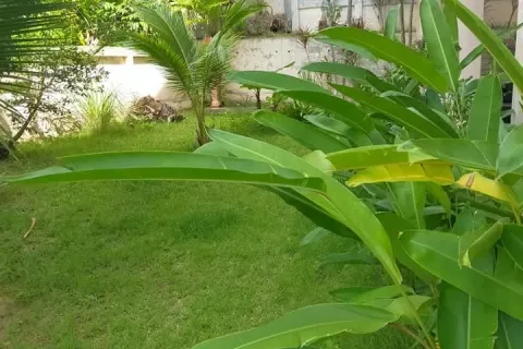 Studio in Kathu, Thailand № 149315 - photo 6