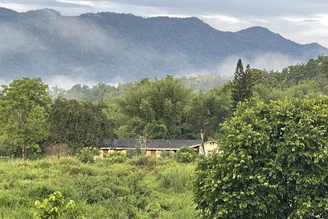 Земельный участок в Мае Риме, Таиланд 3200м2  № 144988 - фото 5