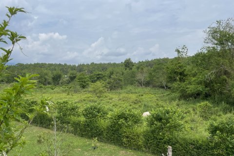 Земельный участок в Мае Риме, Таиланд 3200м2  № 144988 - фото 3