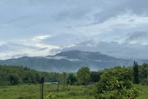 Земельный участок в Мае Риме, Таиланд 3200м2  № 144988 - фото 4