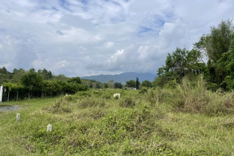 Земельный участок в Мае Риме, Таиланд 3200м2  № 144988 - фото 2