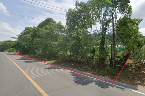 Terrain à Phang Nga, Thaïlande 6400 m2 № 167697 - photo 7