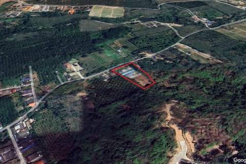 Terrain à Phang Nga, Thaïlande 6400 m2 № 167697 - photo 11