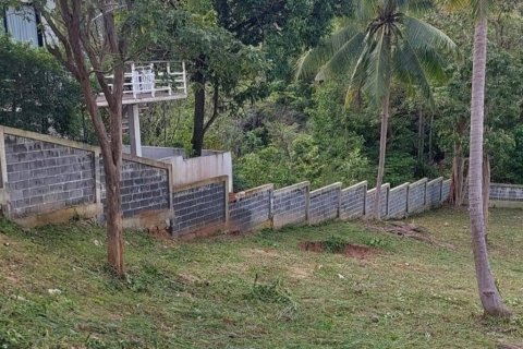 Земельный участок в Самуи, Таиланд  № 116424 - фото 4