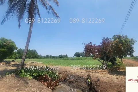 Land in Pattaya, Thailand 130843 sq.m. № 159602 - photo 2