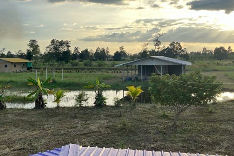 Land in Det Udom, Thailand 40000 sq.m. № 159603 - photo 2