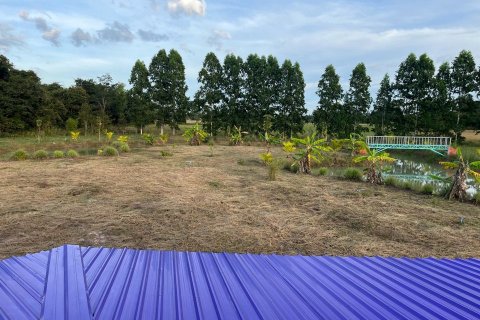 Land in Det Udom, Thailand 40000 sq.m. № 159603 - photo 3