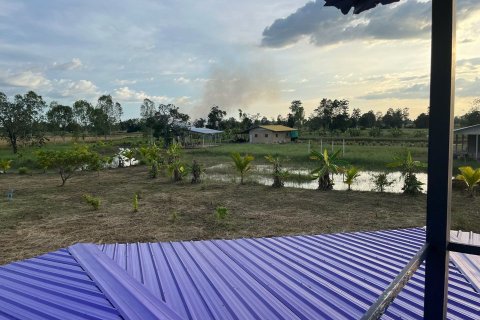 Land in Det Udom, Thailand 40000 sq.m. № 159603 - photo 5