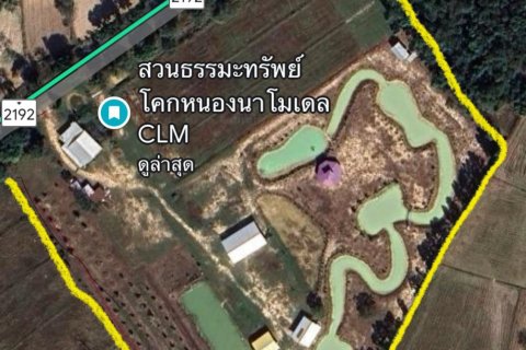 Land in Det Udom, Thailand 40000 sq.m. № 159603