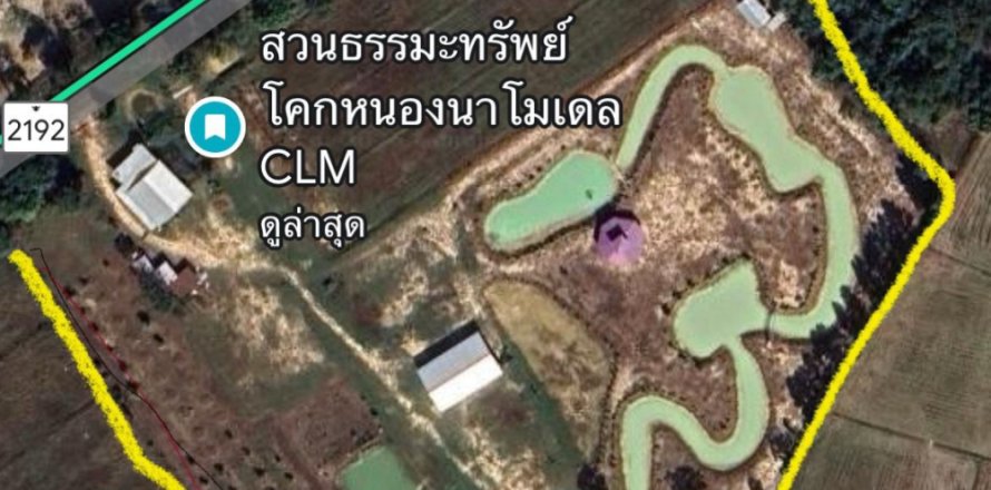 Land in Det Udom, Thailand 40000 sq.m. № 159603