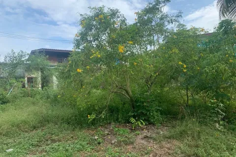 Land in Phang Nga, Thailand 1063 sq.m. № 159604 - photo 2