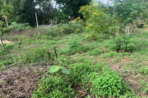 Land in Phang Nga, Thailand 1063 sq.m. № 159604 - photo 6
