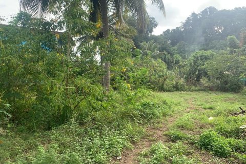 Land in Phang Nga, Thailand 1063 sq.m. № 159604
