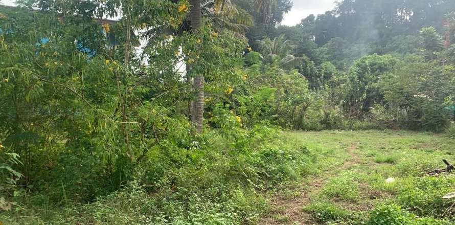 Land in Phang Nga, Thailand 1063 sq.m. № 159604
