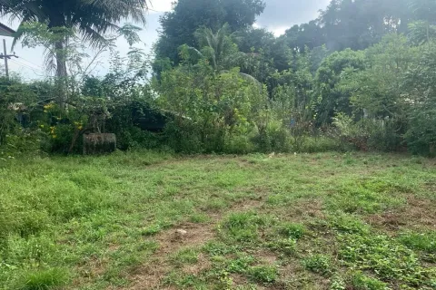 Land in Phang Nga, Thailand 1063 sq.m. № 159604 - photo 4
