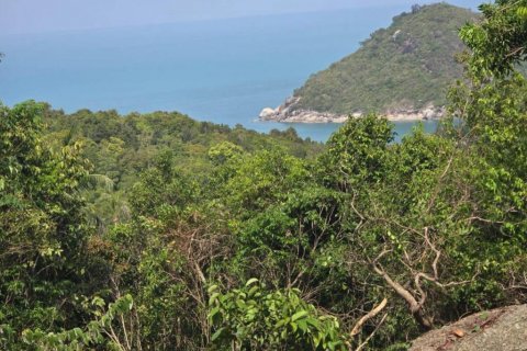 Земельный участок в Сураттхани, Таиланд  № 114127 - фото 3