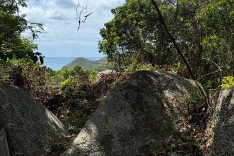 Земельный участок в Сураттхани, Таиланд  № 114127 - фото 8