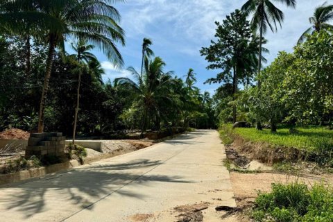 Земельный участок в Сураттхани, Таиланд  № 114127 - фото 7