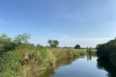 Land in Hua Hin, Thailand 8000 sq.m. № 151226 - photo 2