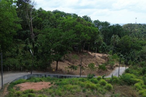 Земельный участок в Пхукете, Таиланд 2146.8м2  № 151228 - фото 5