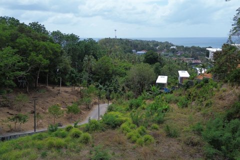 Земельный участок в Пхукете, Таиланд 2146.8м2  № 151228 - фото 3