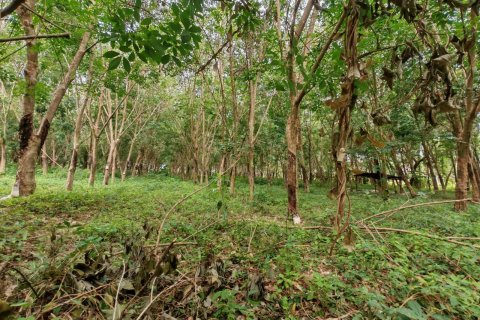 Земельный участок в Самуи, Таиланд 36564м2  № 135418 - фото 10