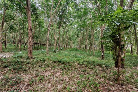 Земельный участок в Самуи, Таиланд 36564м2  № 135418 - фото 7