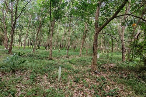 Земельный участок в Самуи, Таиланд 36564м2  № 135418 - фото 21