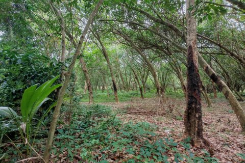 Земельный участок в Самуи, Таиланд 36564м2  № 135418 - фото 20