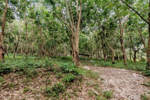 Земельный участок в Самуи, Таиланд 36564м2  № 135418 - фото 8