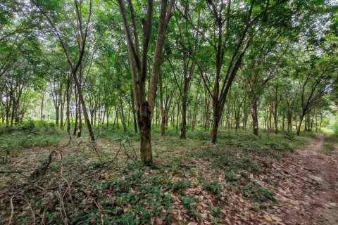 Земельный участок в Самуи, Таиланд 36564м2  № 135418 - фото 1