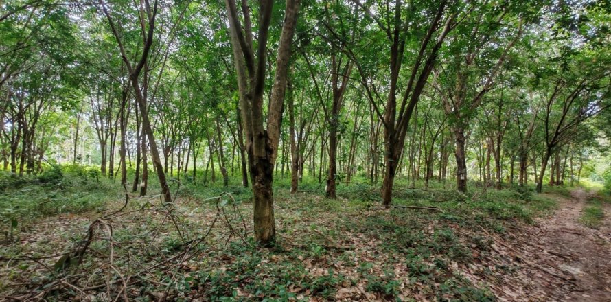 Земельный участок в Самуи, Таиланд 36564м2  № 135418