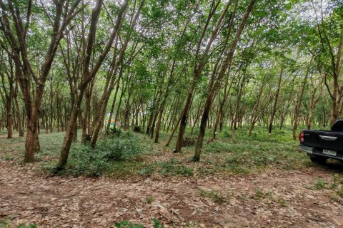 Земельный участок в Самуи, Таиланд 36564м2  № 135418 - фото 6