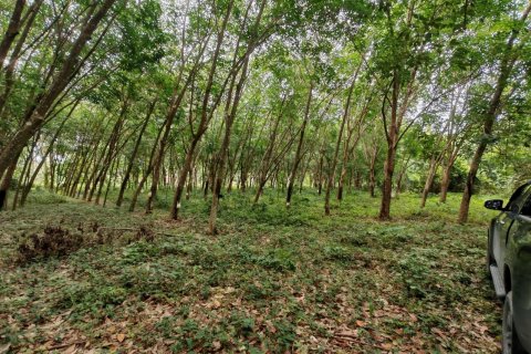 Земельный участок в Самуи, Таиланд 36564м2  № 135418 - фото 4