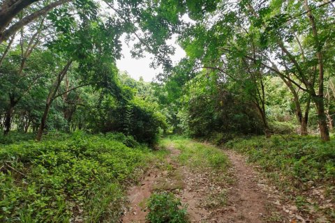 Земельный участок в Самуи, Таиланд 36564м2  № 135418 - фото 9