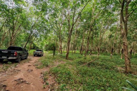 Земельный участок в Самуи, Таиланд 36564м2  № 135418 - фото 3