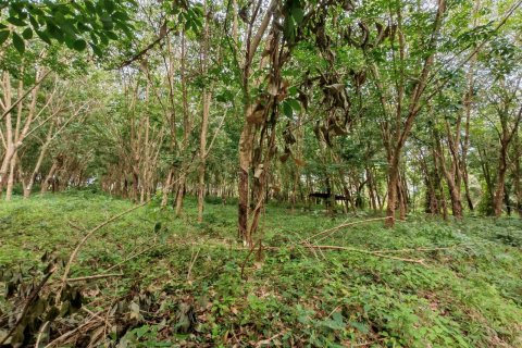 Земельный участок в Самуи, Таиланд 36564м2  № 135418 - фото 16