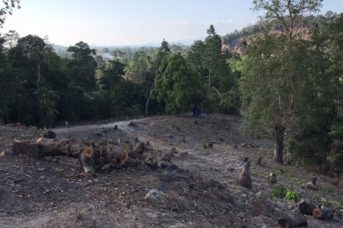 Terrain à Ko Samui, Thaïlande 11200 m2 № 155848 - photo 5