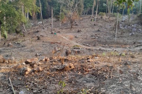 Terrain à Ko Samui, Thaïlande 11200 m2 № 155848 - photo 8